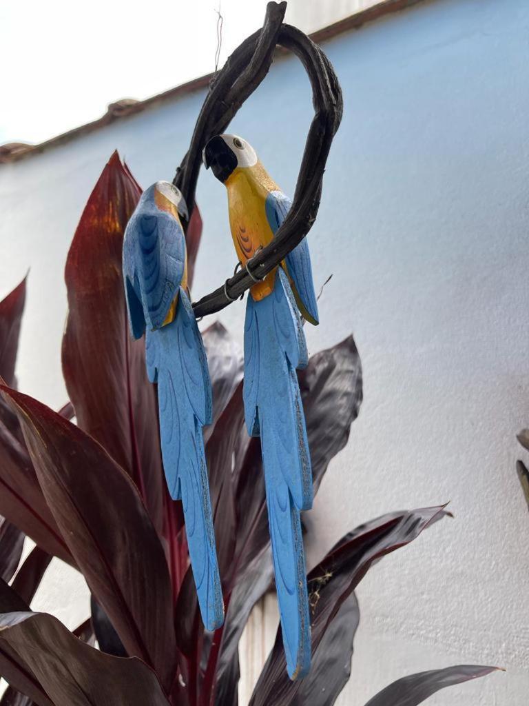 Chales Camburi Sao Sebastiao  Exterior foto